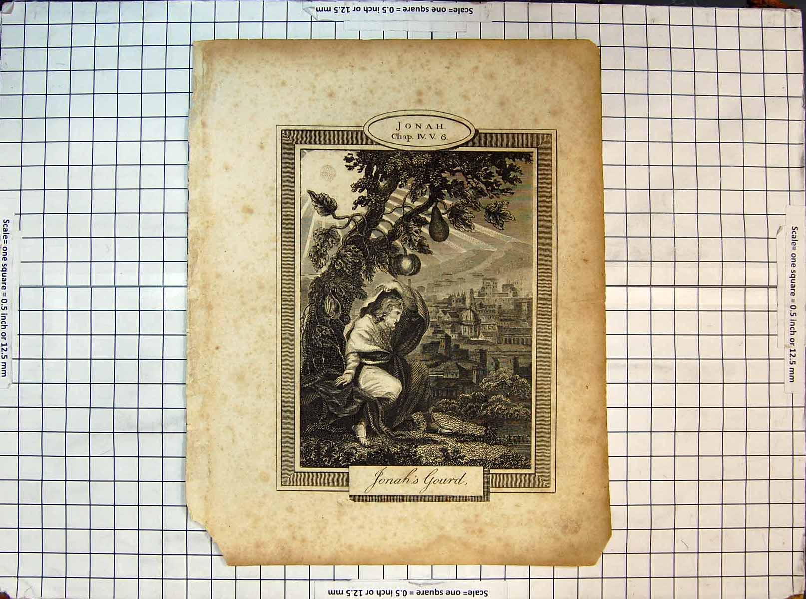 Original Old Antique Print Religion Scene Jonah'S Gourd