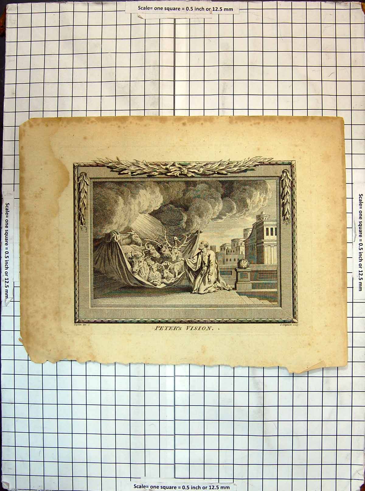Original Old Antique Print Peter'S Vision Animals Religion