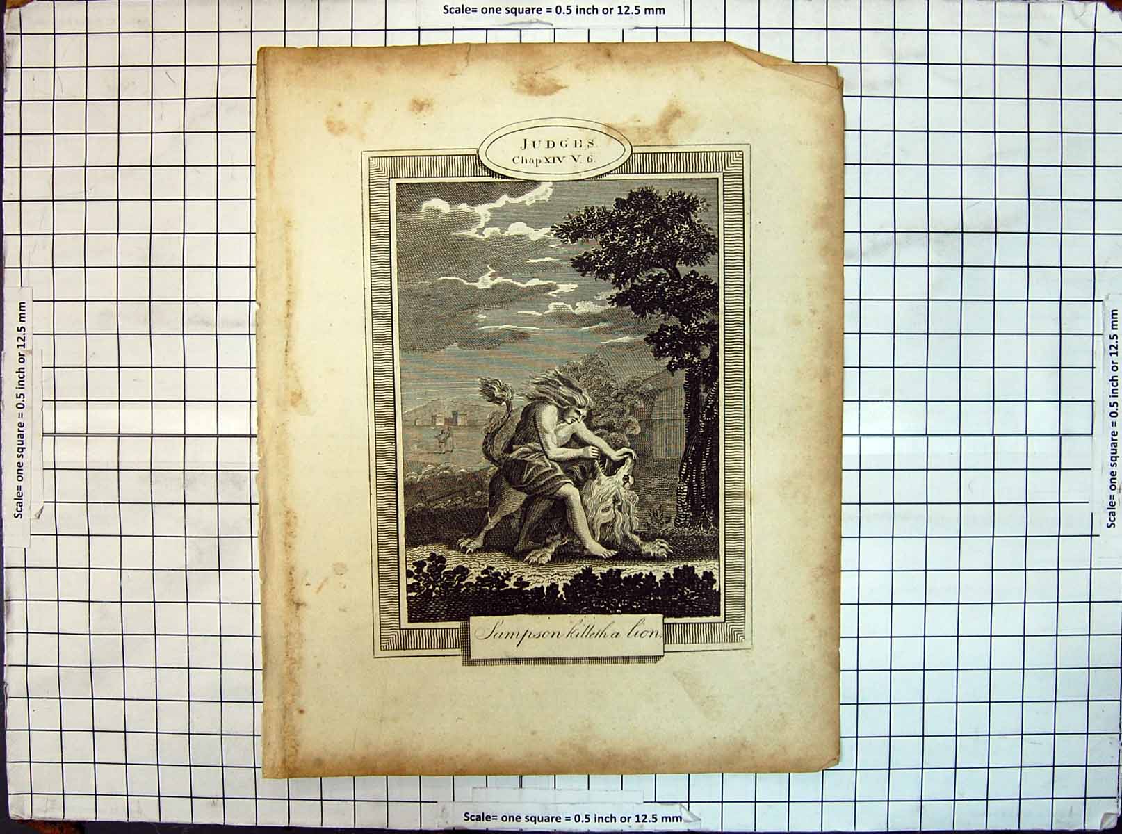 Original Old Antique Print Judges Sampson Killing Lion Religion 19th