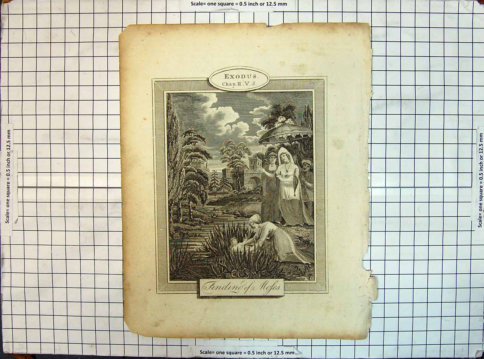 Original Old Antique Print Exodus Religion Scene Finding Moses Baby River 20th