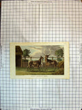 Original Old Antique Print Colour North American Deer Animals