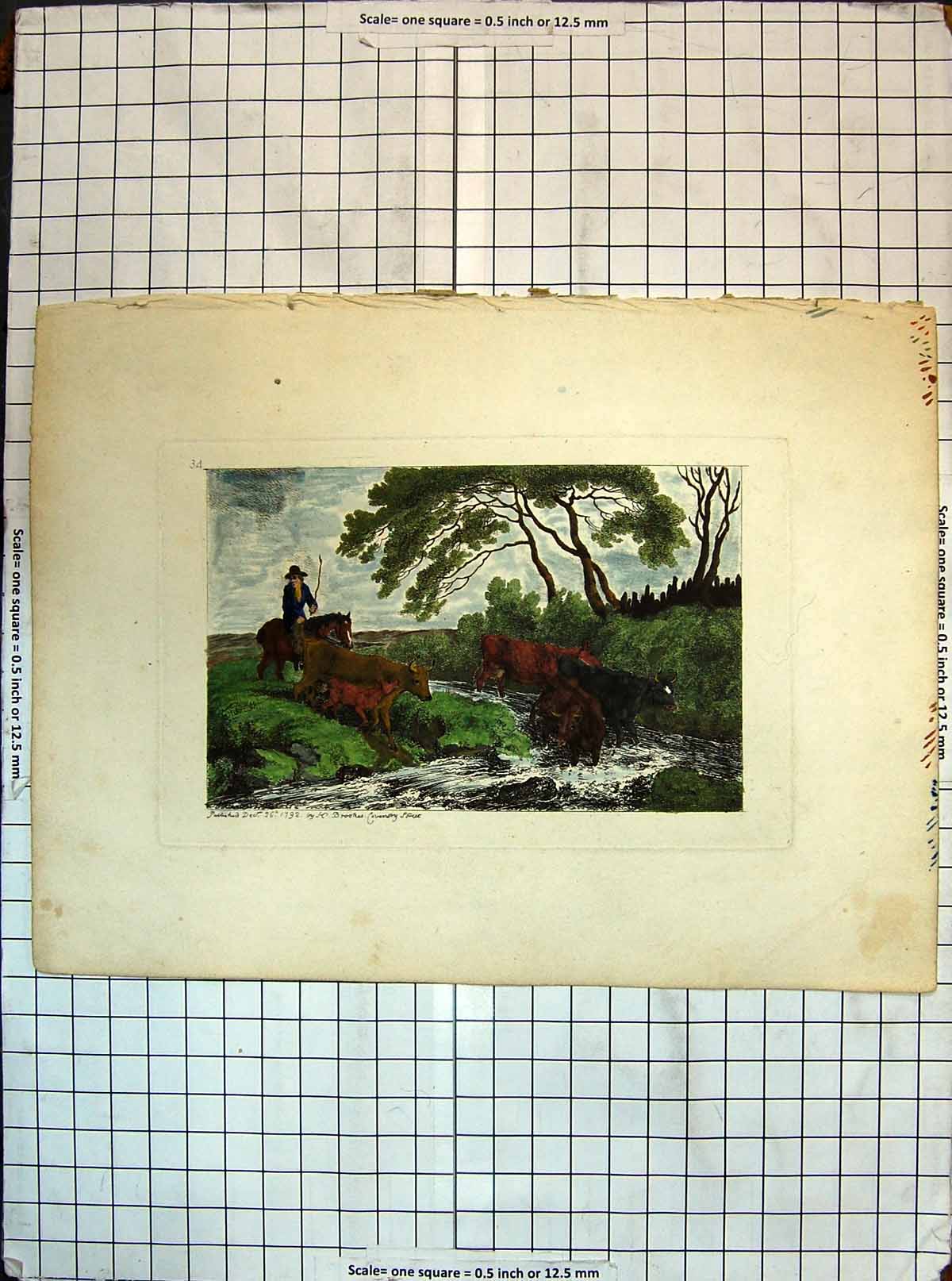 Original Old Vintage Print Colour 1920 Man Horse Cows River Scene 20th Century