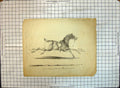 Original Old Antique Print 1882 Riderless Race Horse Sport 19th