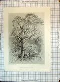 Antique Print Under Fir Tree Men Dog Hunting Deer Lewis Landseer Engraving