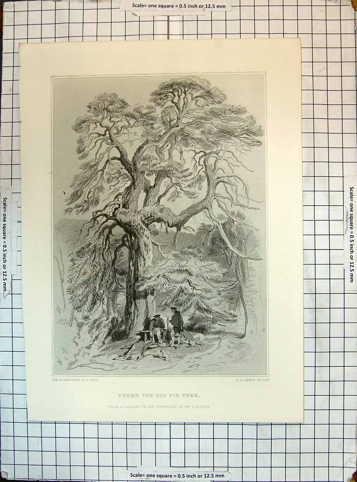 Antique Print Under Fir Tree Men Dog Hunting Deer Lewis Landseer Engraving