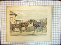 Old Herring Group Ponies Sheltie New Forest Horse Prince Wales Animal