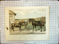Old Print Colour Ponies Group Sheltie New Forest Horse Pony Prince Wales