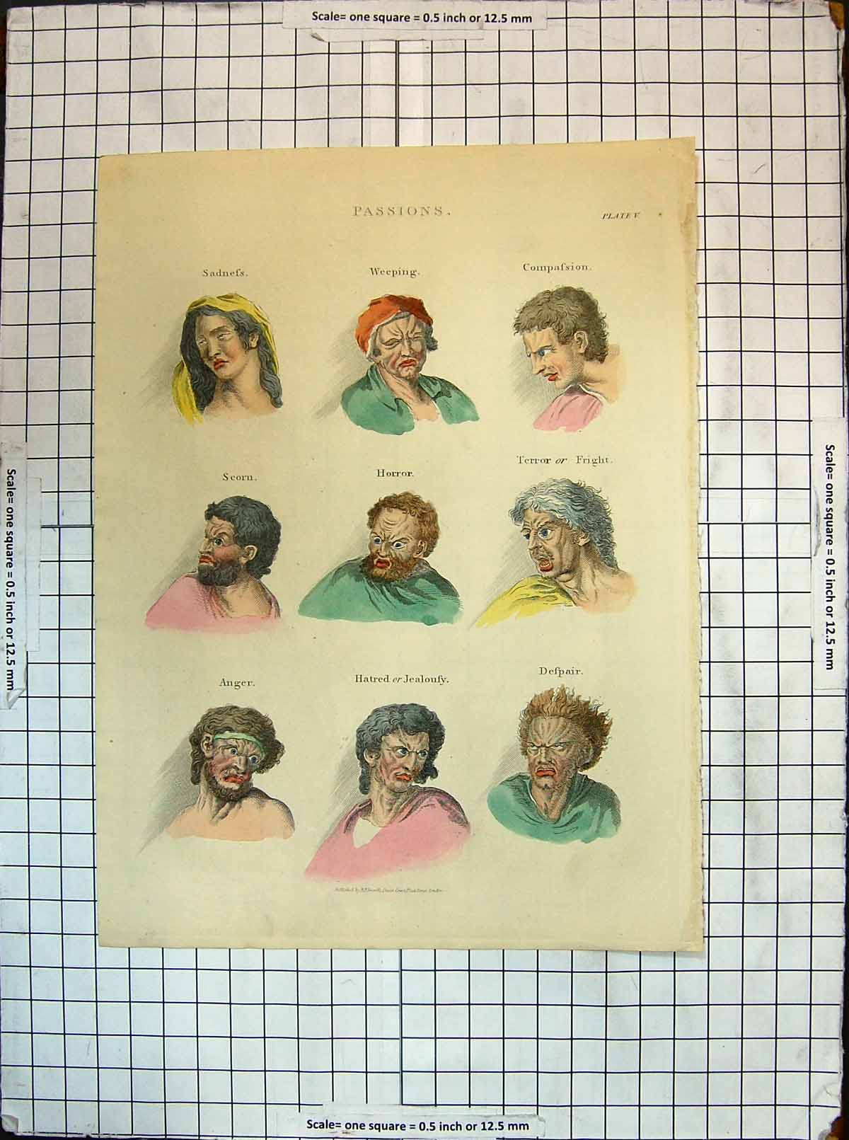 Old Print Colour Passions Sadness Weeping Compassion Scorn Horror Terror