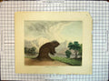 Old Antique Print American Porcupine Colour Mesiers Lith Clonney Animals