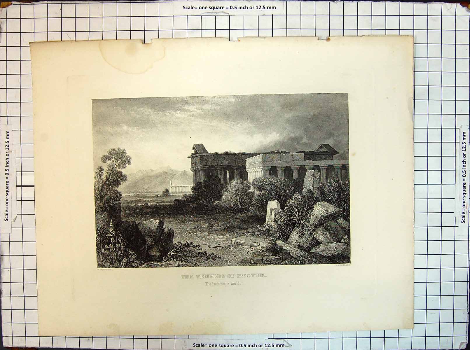 Original Old Antique Print Temples Paestum Picturesque World Brockedon Brandard