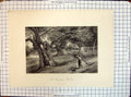Original Old Antique Print Burnham Beeches Appleton Foster Willmore