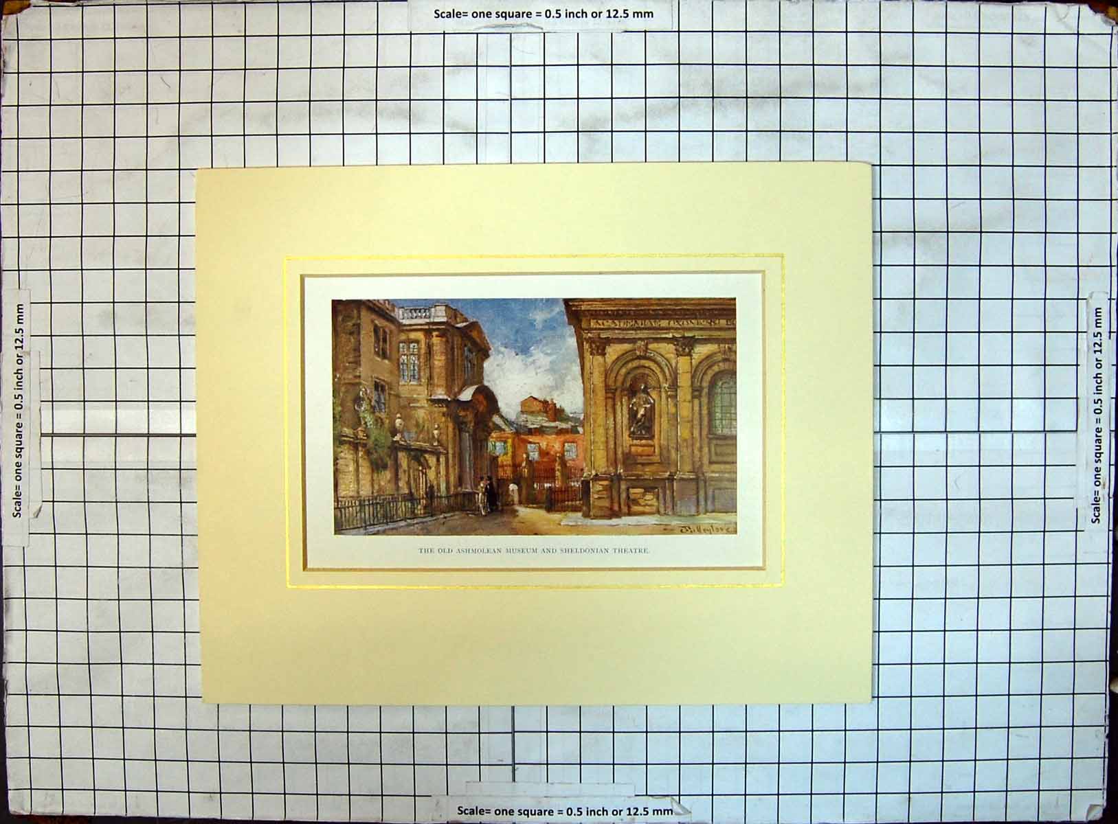 Original Old Antique Print Colour Ashmolean Museum Sheldonian Theatre