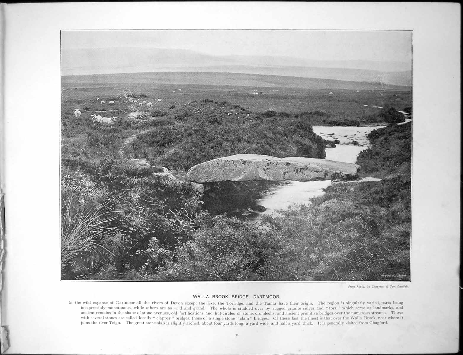 Original Old Antique Print Walla Brook Bridge Dartmoor Harbour Bridlington Quay