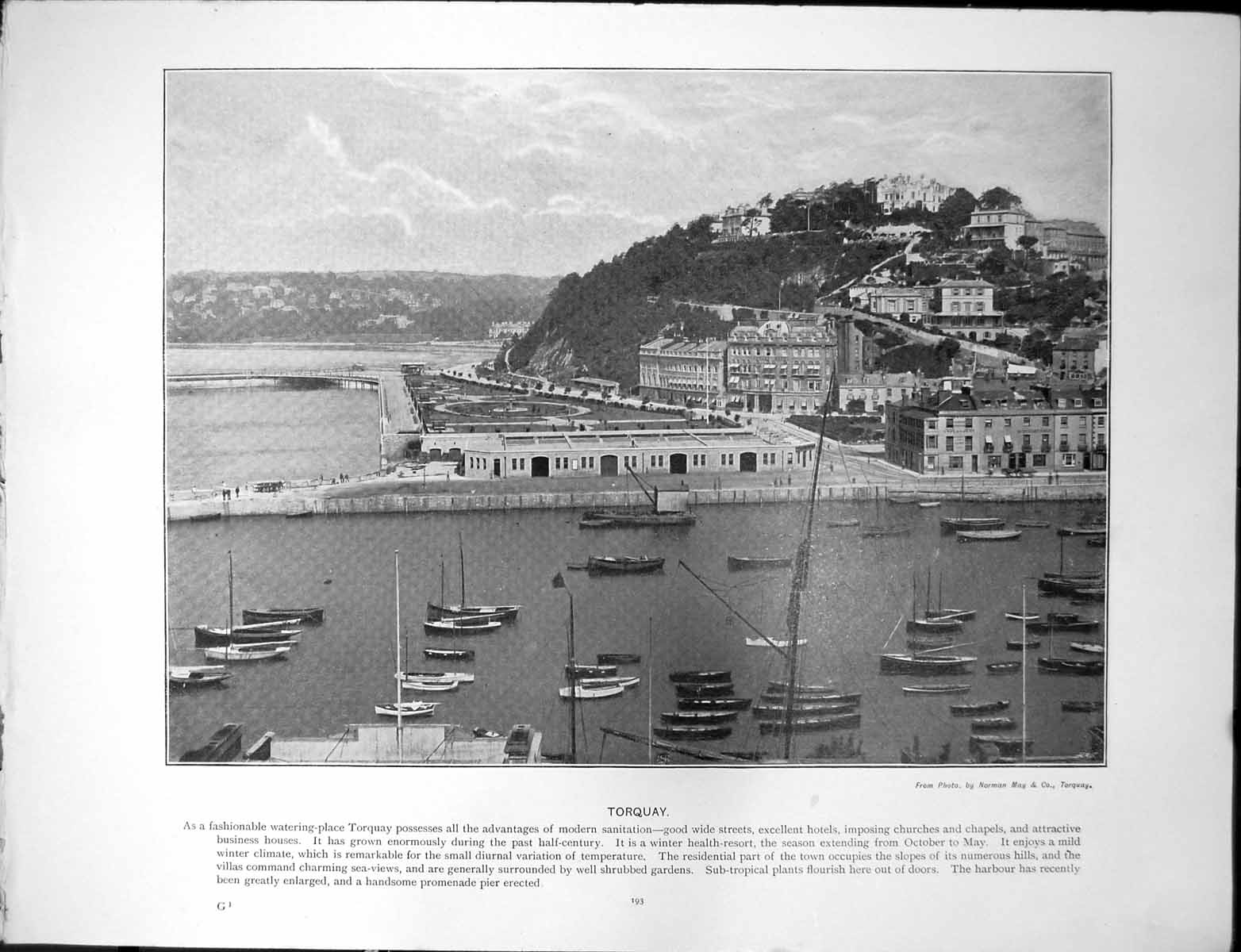 Old Antique Print Torquay Winter Health Resort Boats Totnes Sharpham Road 20th