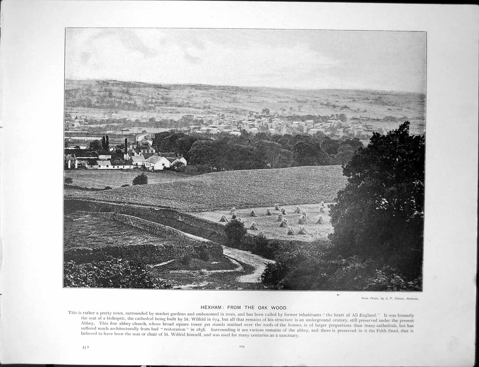 Antique Print Hexham From Oak Wood Cliefden Woods Thames Maidenhead Reading