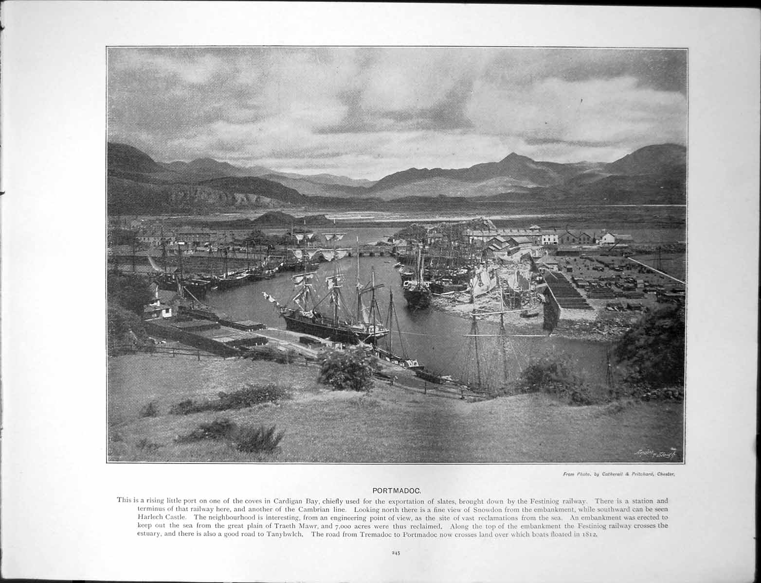 Old Print Portmadoc Port Cardigan Bay Harrogate Bog Gardens Sulphur Well
