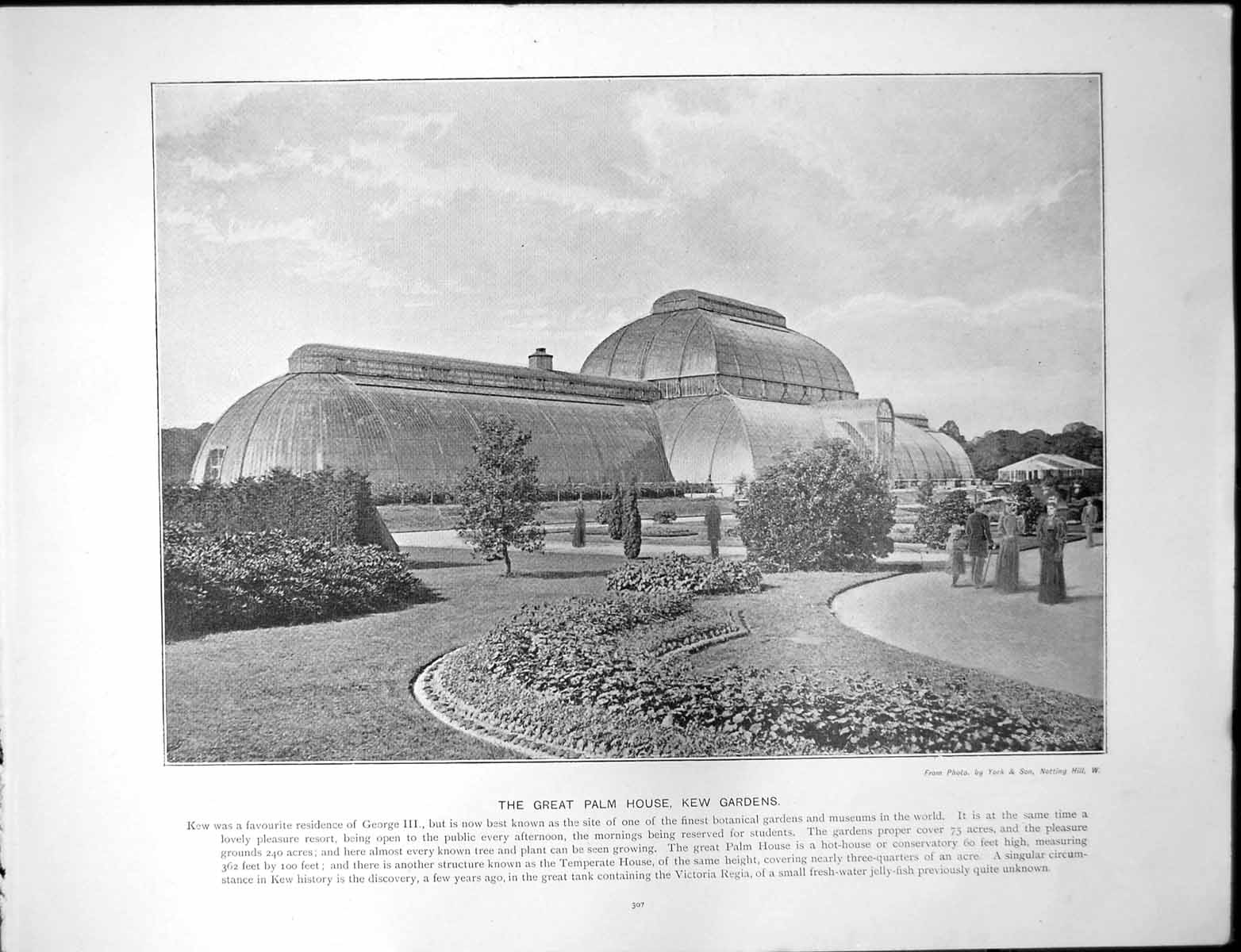 Antique Old Print Great Palm House Kew Gardens Greenwich Observatory Almanac