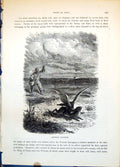 Antique Print Oriental Falconry Man Catching Hare Rabbit Open Ground C1874 19th