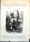 Antique Print The Falconer Man Braces Wooden Frame Birds Eyes Hooded C1874 19th