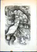 Old Antique Print Cockatoos Cacatua Group Eight Birds In Branches C1874 19th