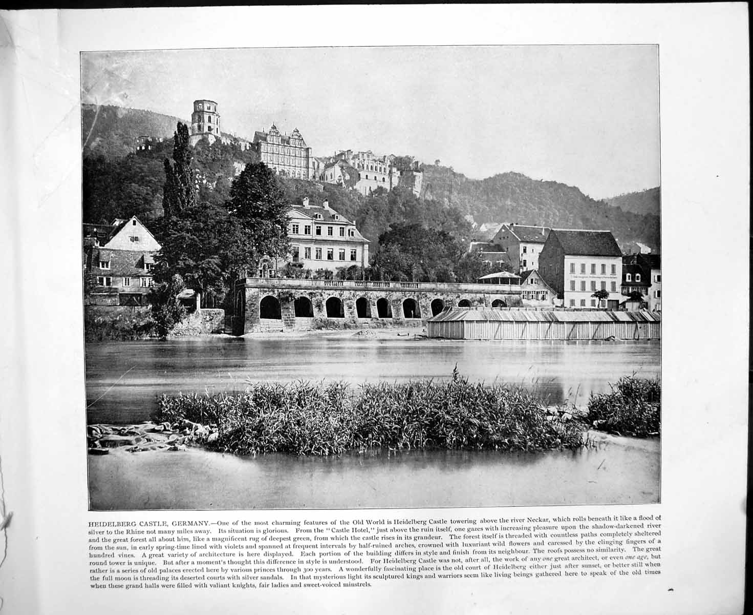 Old Print Heidelberg Castle Germany Neckar Lucerne Switzerland C1893 102RG 19th