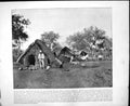 Old Print Straw Cottages Salamanca Mexico Indian River Florida C1893 107RG 19th