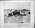Old Print Camp Caravan Sahara Desert Houses Parliament Ottawa Canada C1893 110RG