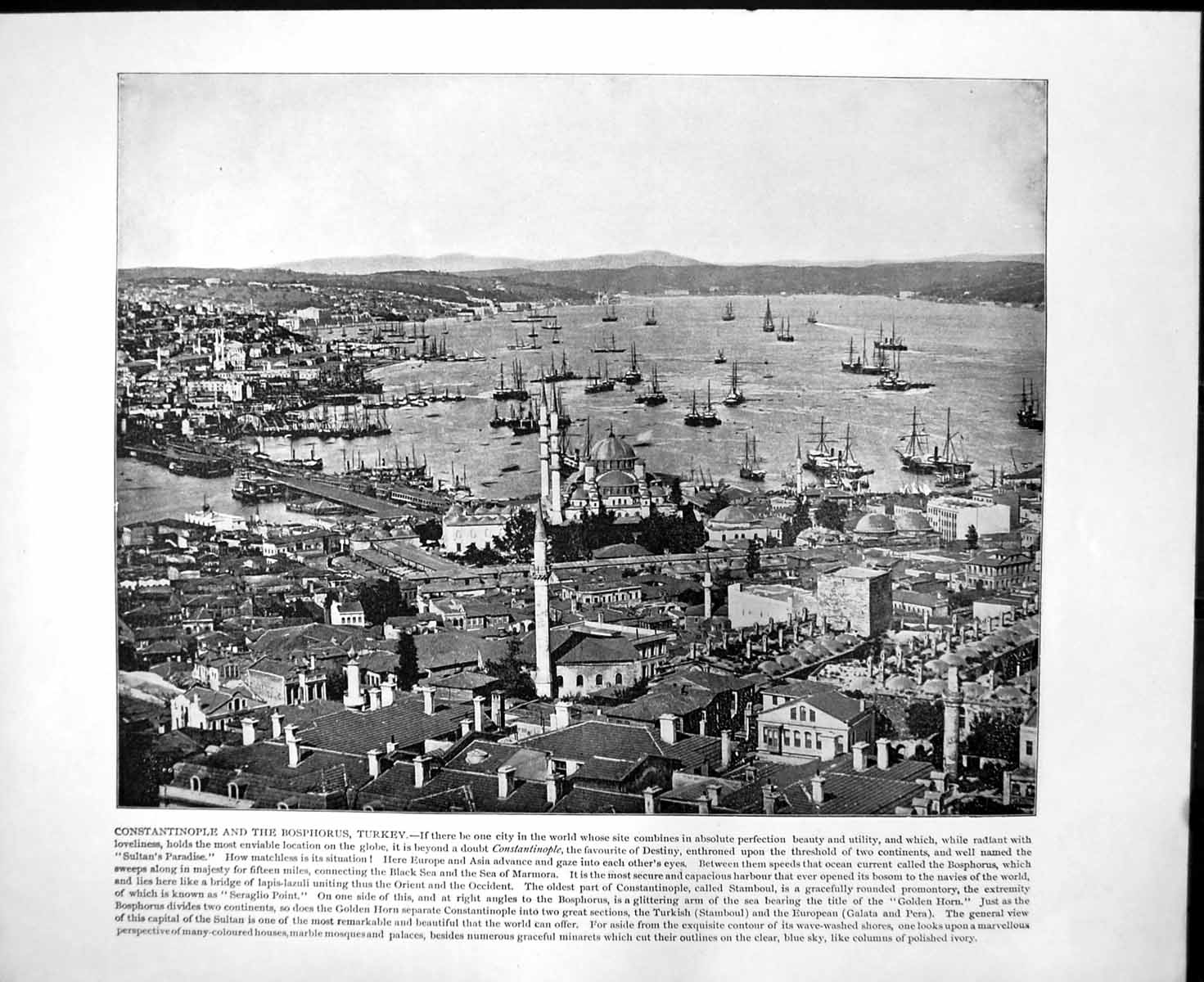Old Constantinople Bosphorus Turkey Ponte Vecchio Florence C1893 136RG Victorian