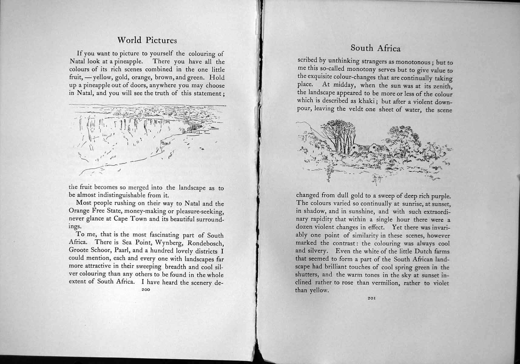 Antique Old Print South Africa Natal Luxurious Cape Town Wynberg Veldt Farms