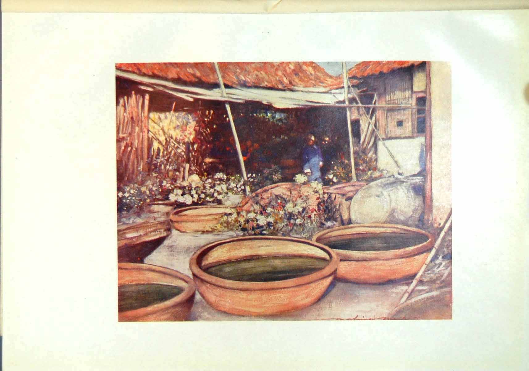 Original Old Antique Print Nursery Garden China Terracotta Pots Flowers