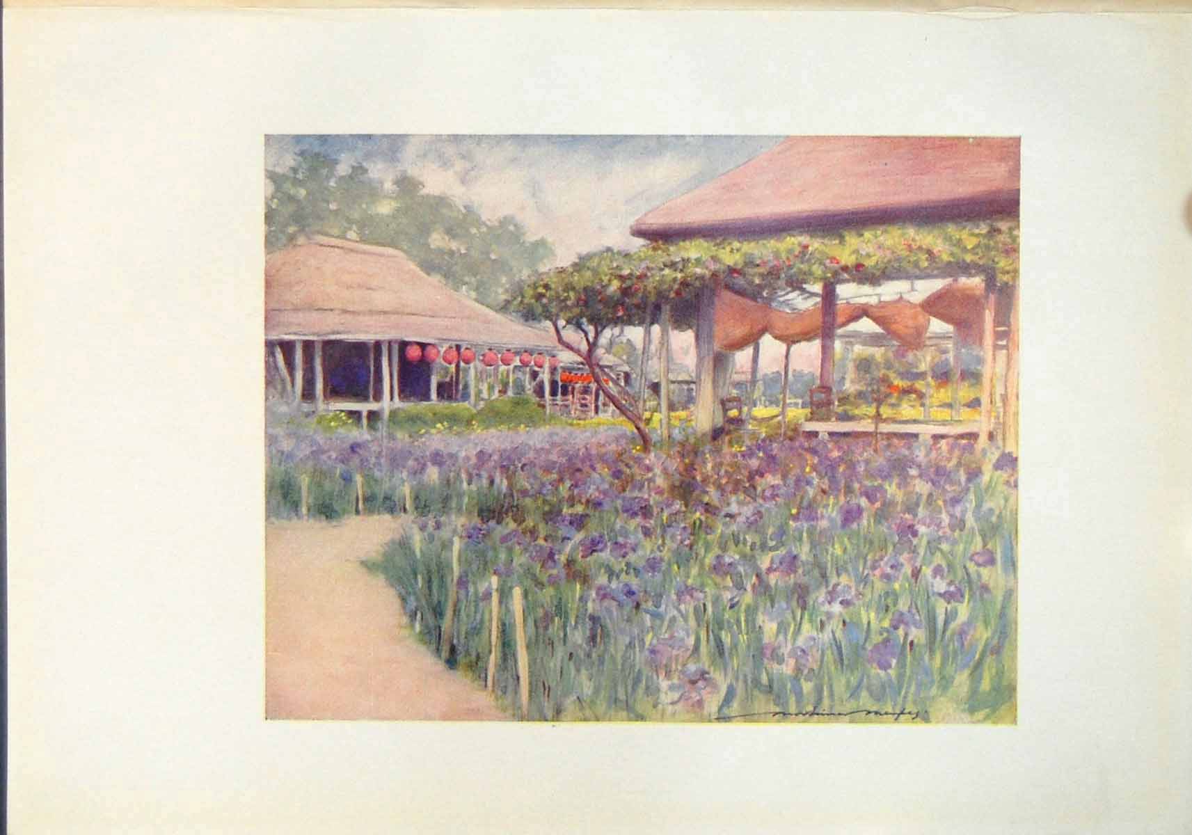 Antique Print Iris Garden Japan Blue Irises Flowers Bush Lanterns Building