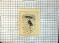 Old Punch Die-Hard Man Paddling Sea Rolled Trouser Legs Rain 1922 136G 20th