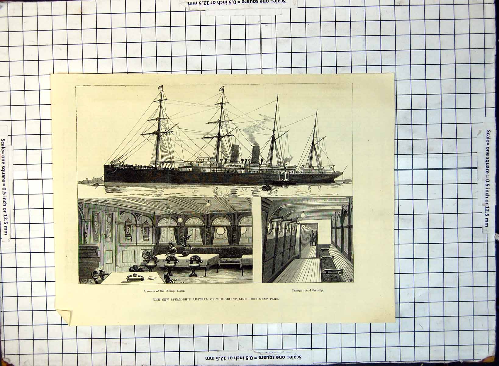 Old Print New Steam-Shop Orient Line Austral View Dining Rom Passage 155G