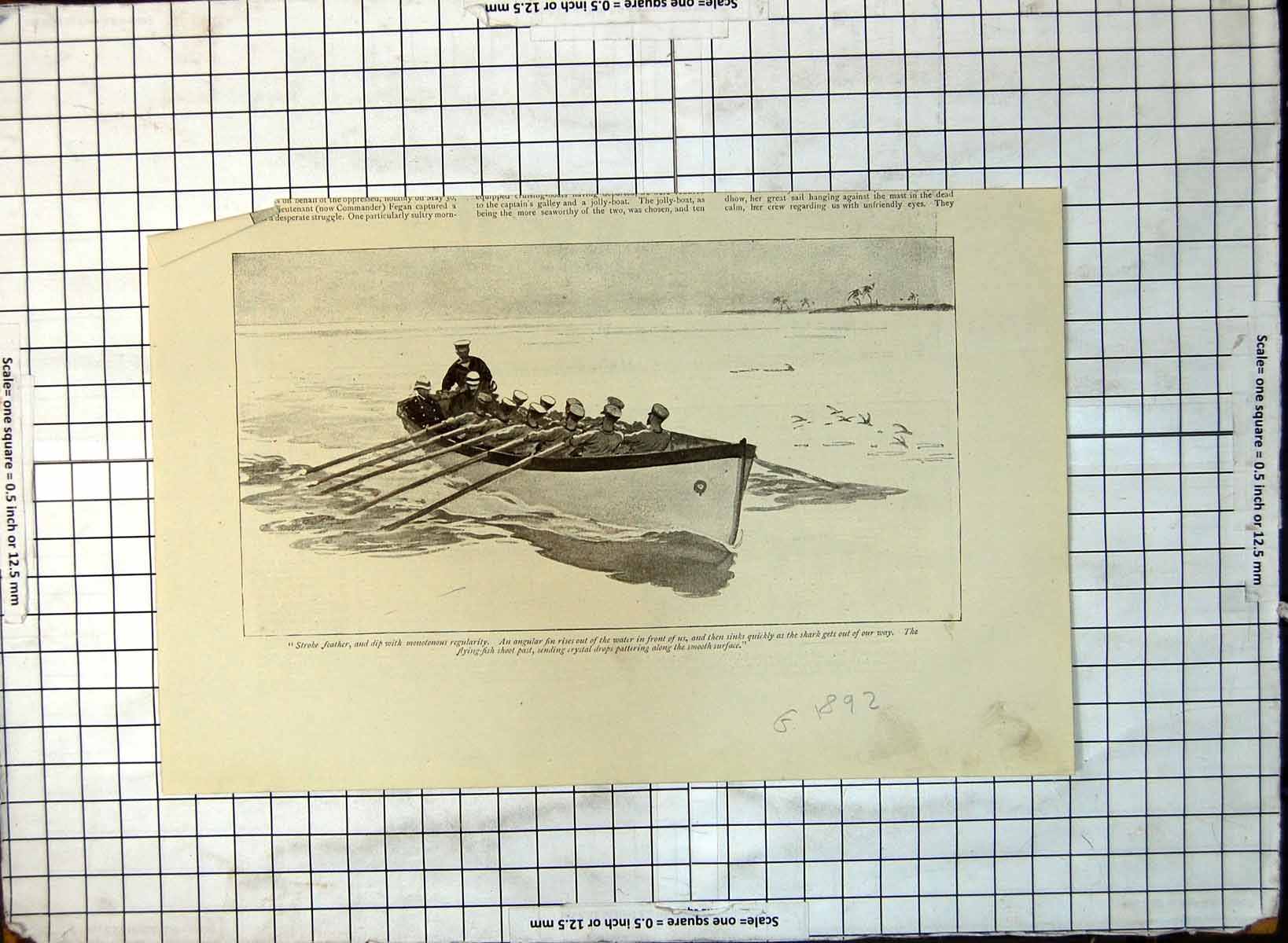 Old Seamen Rowing Boat Shark Avoids Flying Fish Pass By Palms 1892 163G 19th