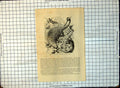 Antique Old Print Coendoo Brazilian Porcupine Cercolabes Prehensilis Tree 174G