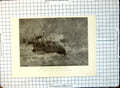 Old Victoria Channelsteam Boat Between Dover Calais Great Gale 1891 215G 19th
