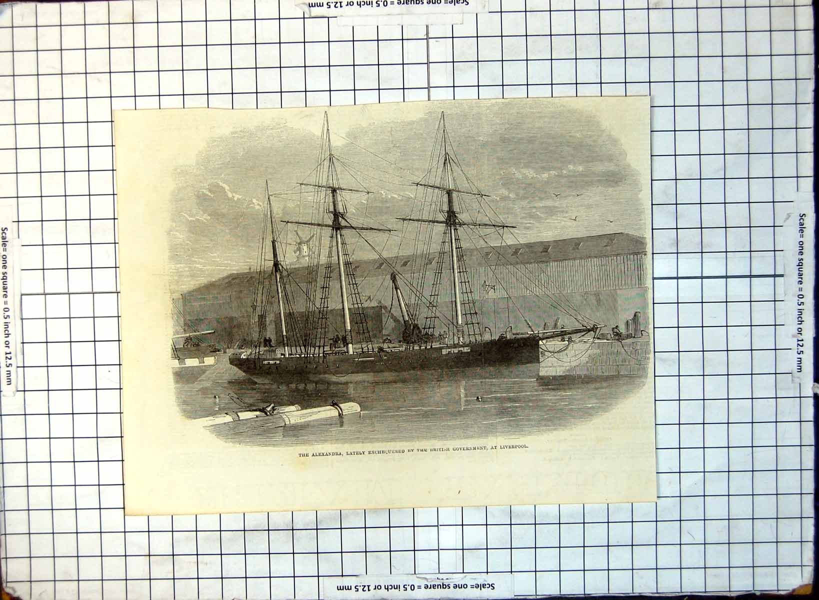Antique Print Alexandra Lately Exchequered British Goverment Liverpool 217G