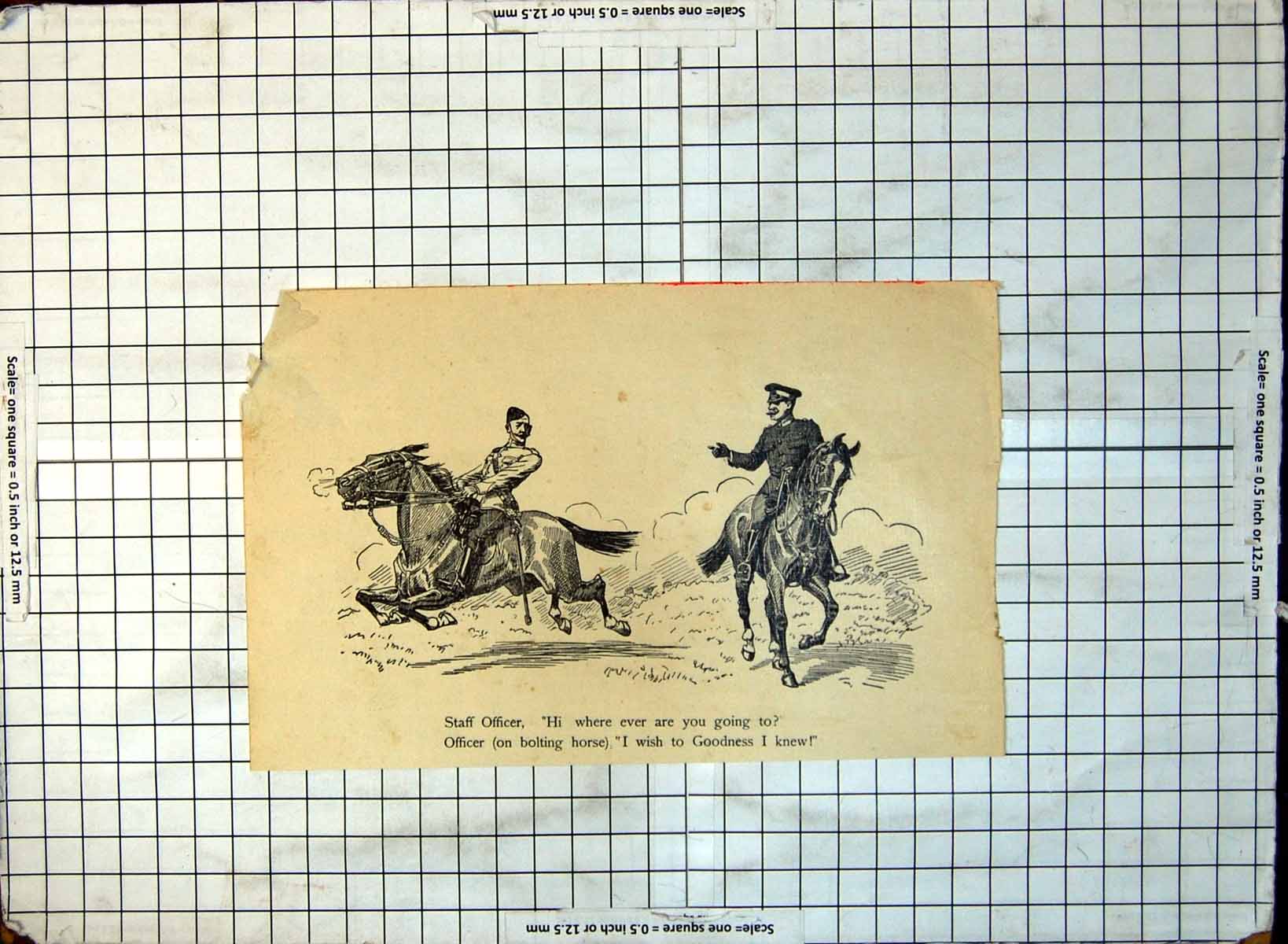 Old Staff Officer Asking Rider Bolting Horse Where Going No Idea 250G