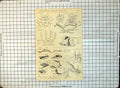 Print Fortification Attack Fortresses Parallel Close Breach Field C1890'S 264G