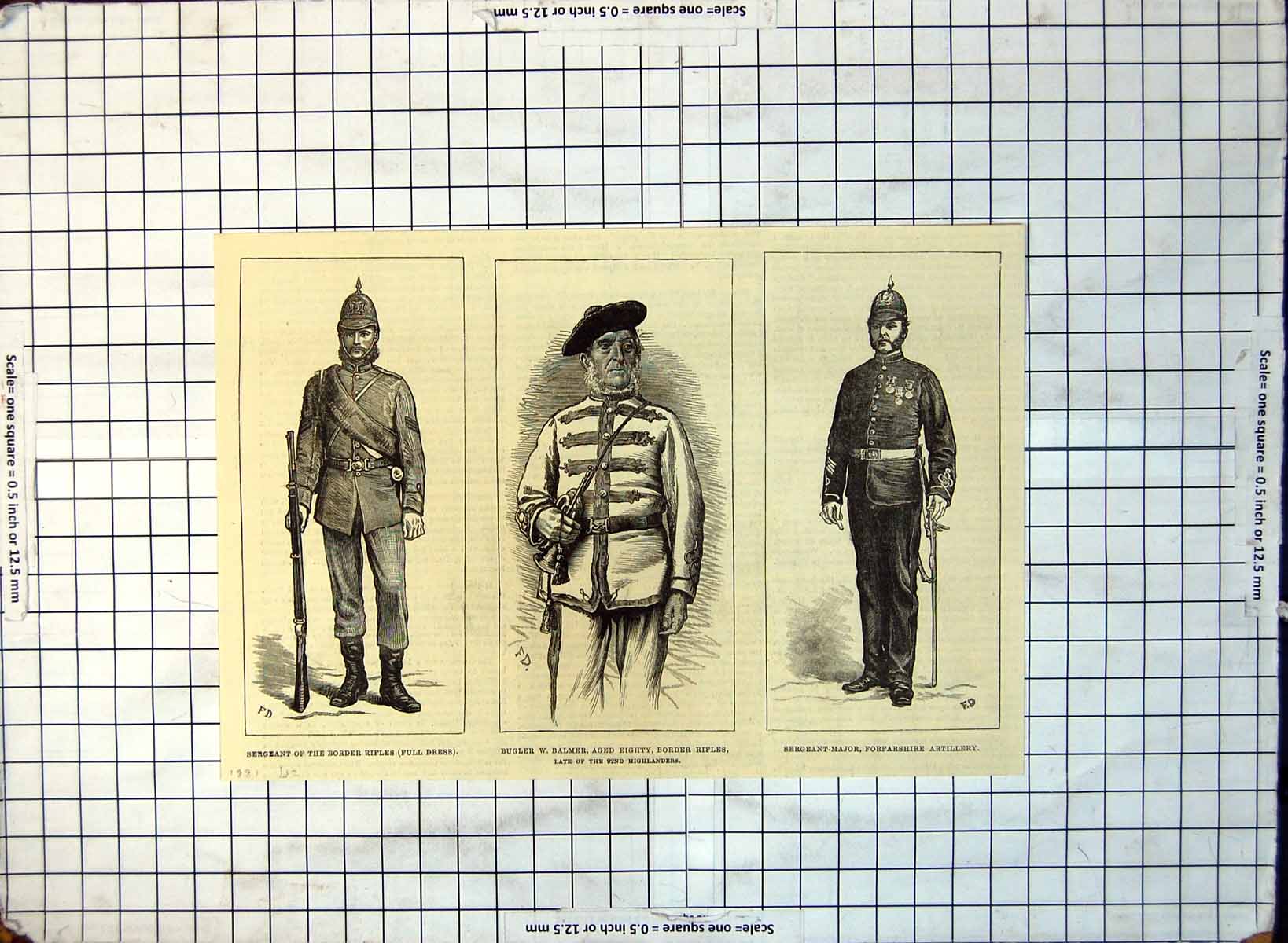 Old Sergeant Border Rifles Dress Bugler Forfarshire Artillery 1881 271G 19th