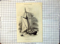 Old The Hoy Becalmed Sailing Small Boat Full People Luggage W Harvey 288G