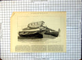 Old Avalanche Forest Collision Channel Chesil Bank Rescue Boats 1877 289G 19th