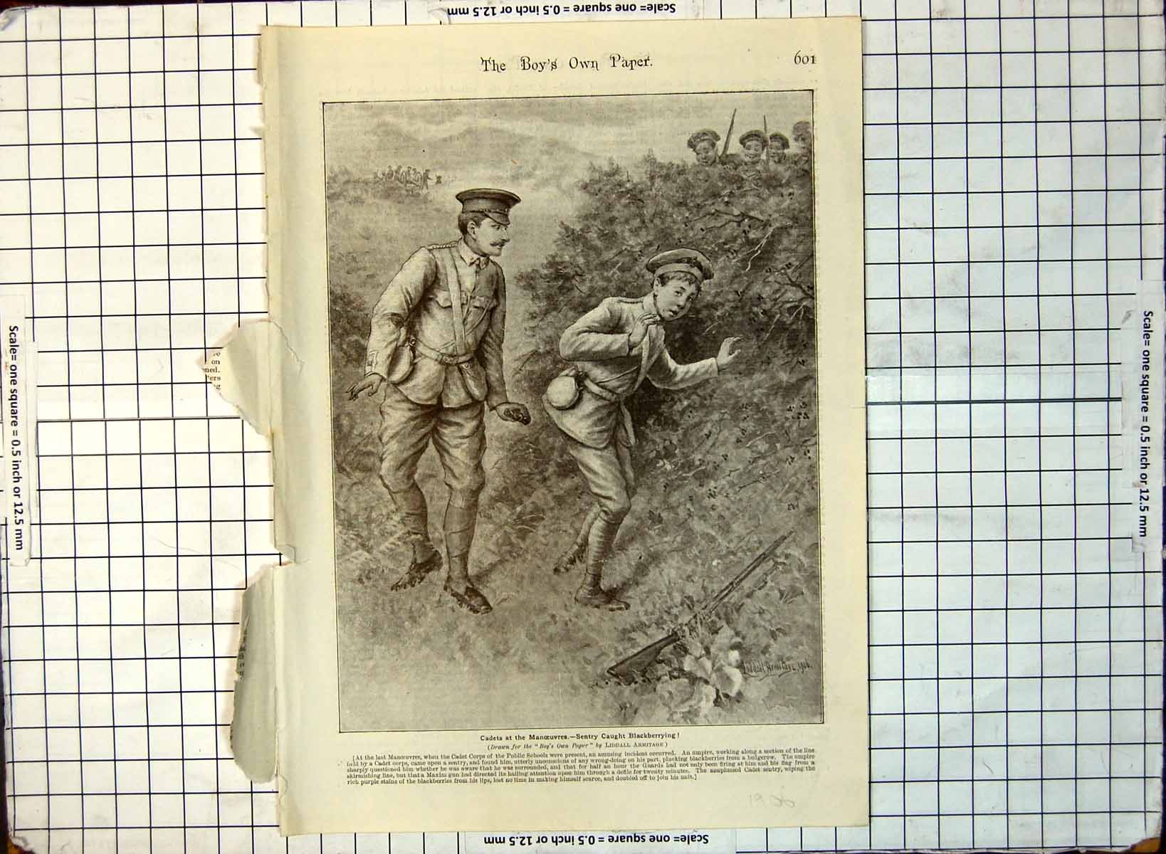 Old Cadets Manoeuvres Sentry Caught Blackberrying Gun Ground 1906 327G 20th
