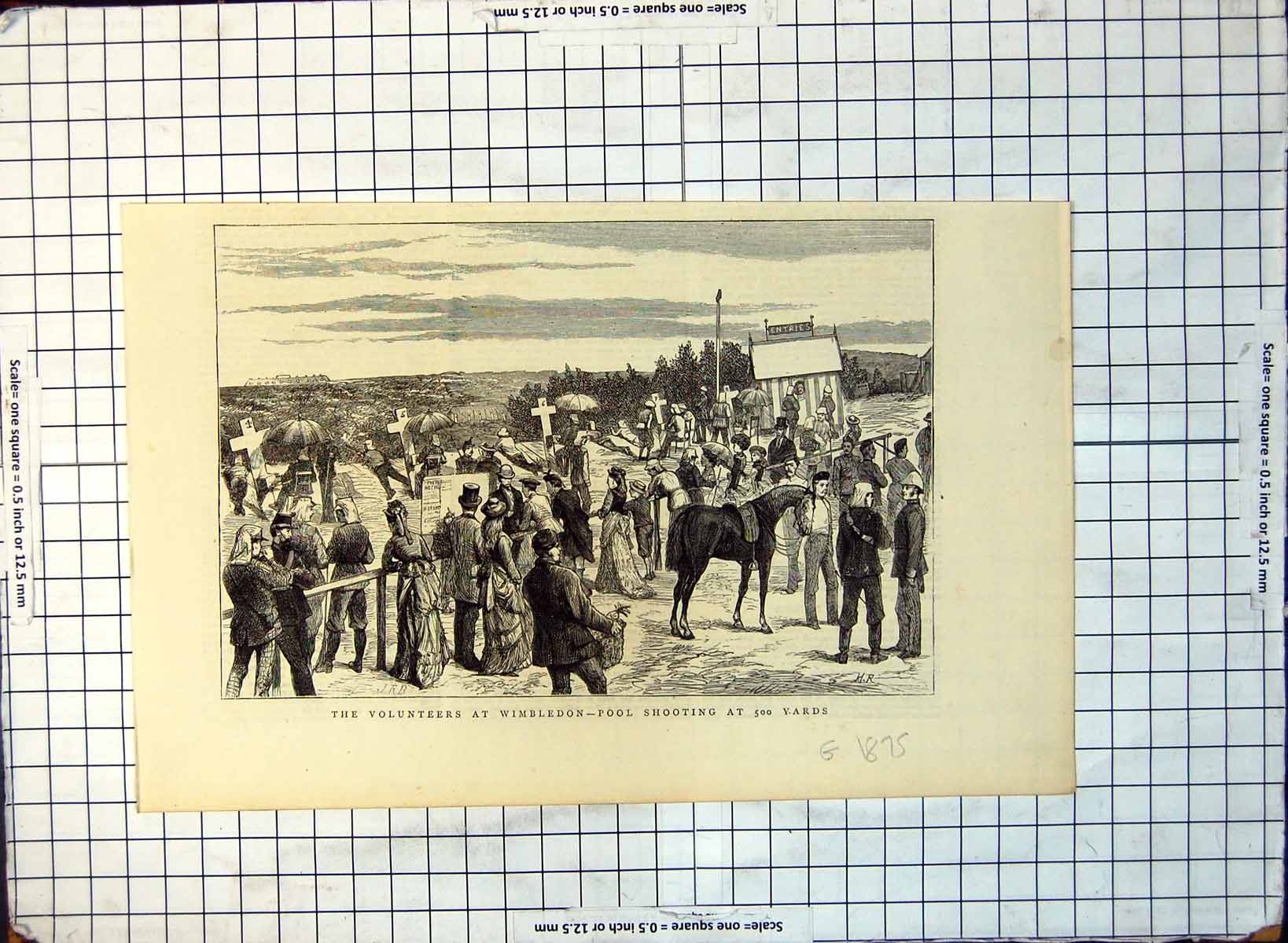 Old Volunteers Wimbledon Pool Shooting At 500 Yards Onlookers C1875 328G