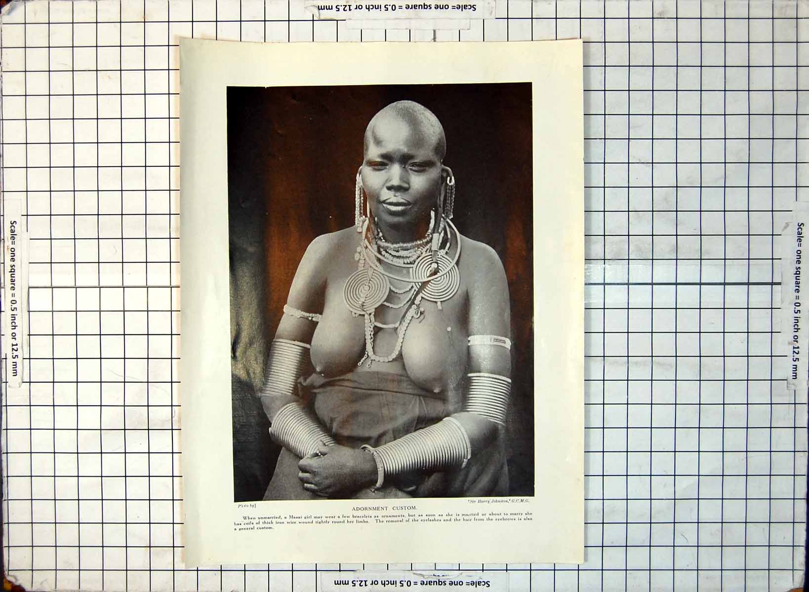 Old Adornment Custom Masai Woman Hunting Head Decorations Hippo 410RG