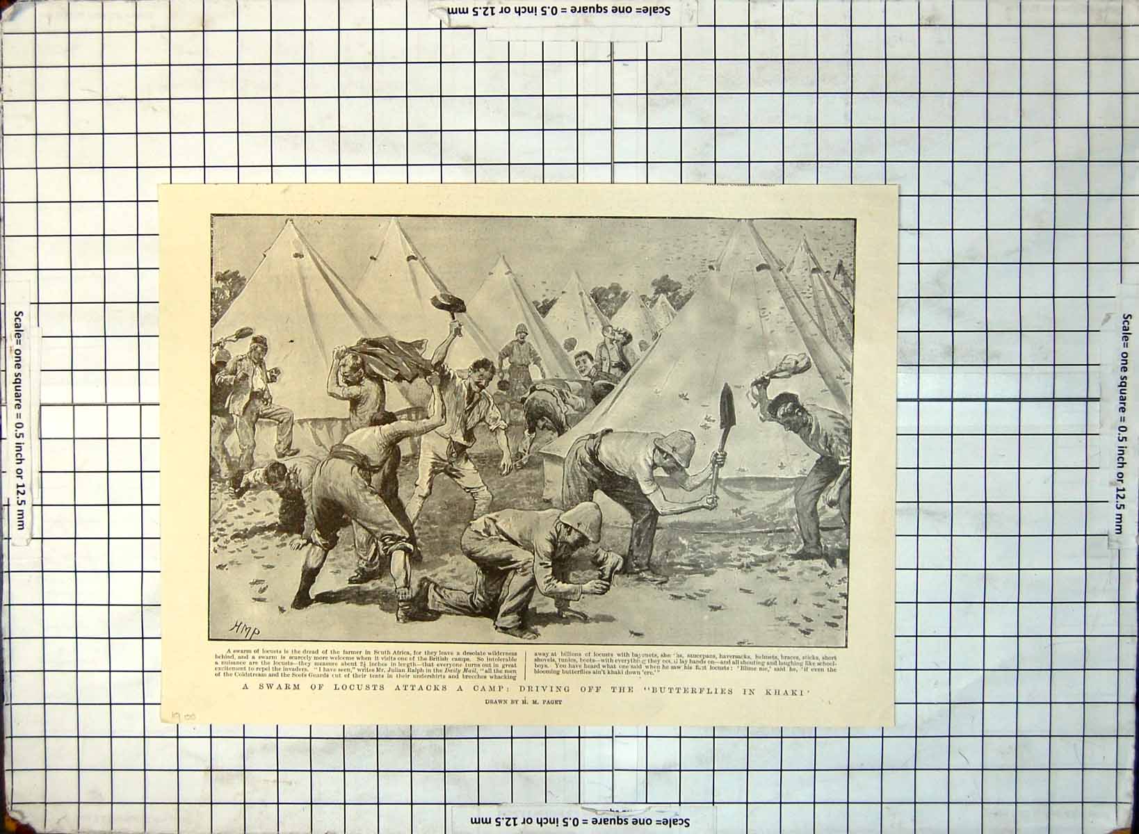 Old Print Swarm Locusts Camp South Africa Celebrating Relief Mafeking 1900 411RG