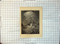 Antique Print Wrecked Yourkshire Coast Night Scene Petrel Feet Lowered 417RG