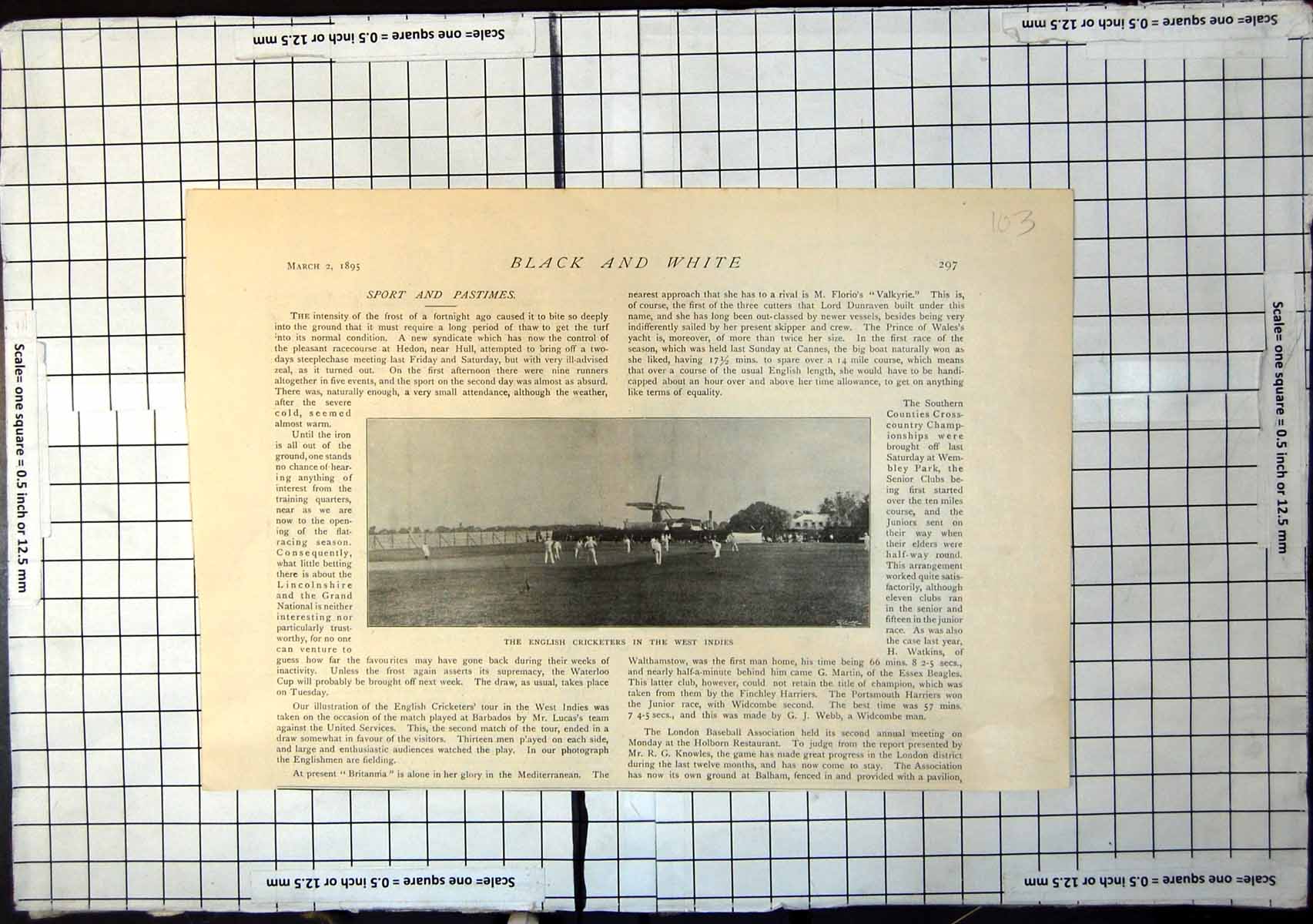 Antique Print English Cricketers In The West Indies Match In Progress 1895 19th