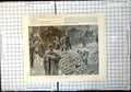 Antique Print Auctioneering Foreign Fruit Pineapples Floral Hall Covent Gdn