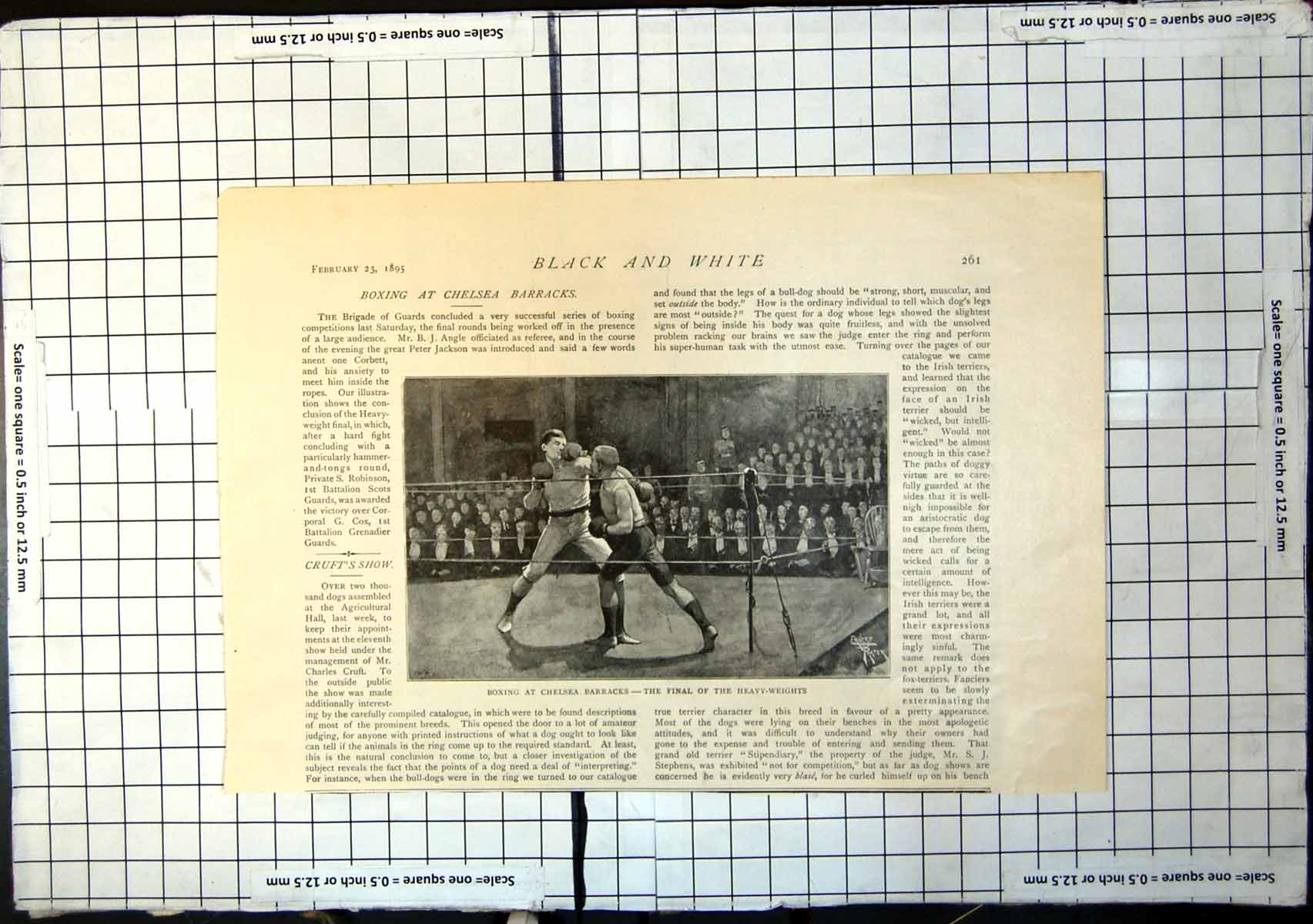Original Old Antique Print Boxing Chelsea Barracks Final Heavy-Weights 1895